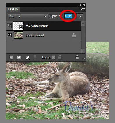 remove watermark from photo photoshop elements 12