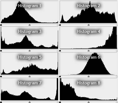 histograms.jpg