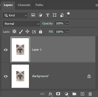 duplicated layers